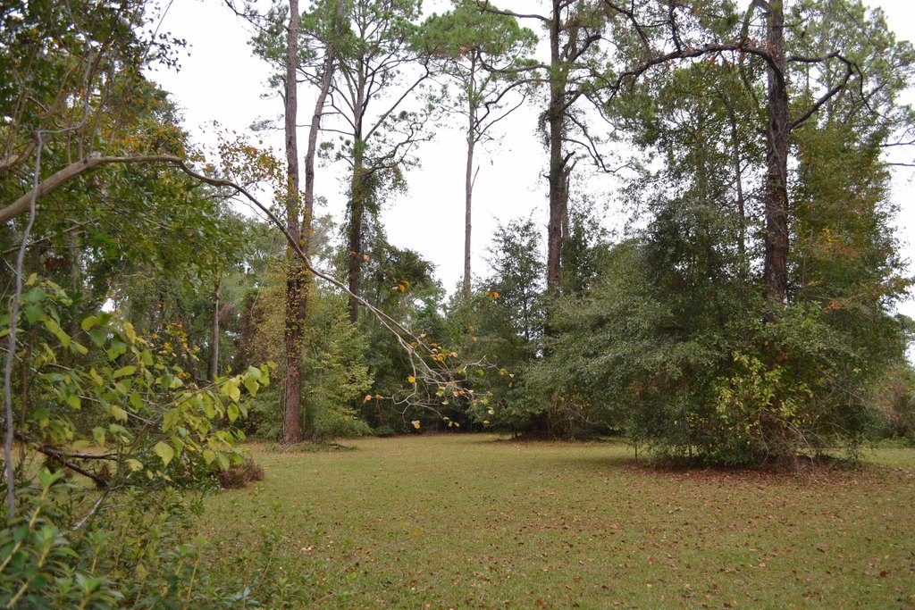 Photo of Southern Oaks Dr Tallahassee FL 32308